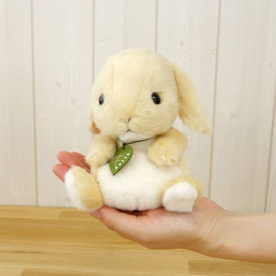 Amazon.co.jp: potte ロップイヤー ぬいぐるみ : おもちゃ